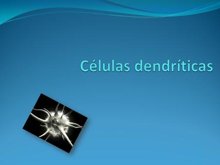 Células dendríticas.