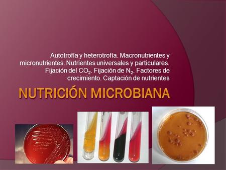 Autotrofía y heterotrofía. Macronutrientes y micronutrientes