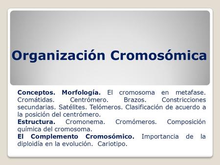 Organización Cromosómica