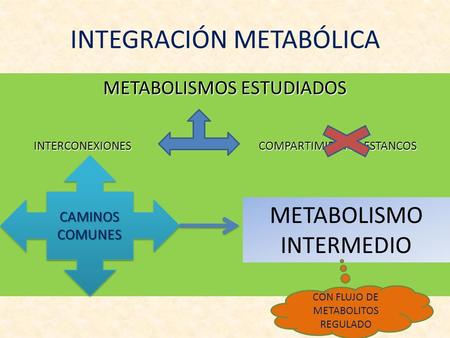 INTEGRACIÓN METABÓLICA METABOLISMOS ESTUDIADOS INTERCONEXIONES COMPARTIMIENTOS ESTANCOS CAMINOS COMUNES METABOLISMO INTERMEDIO CON FLUJO DE METABOLITOS.