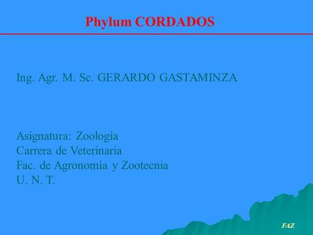 Phylum CORDADOS Ing. Agr. M. Sc. GERARDO GASTAMINZA