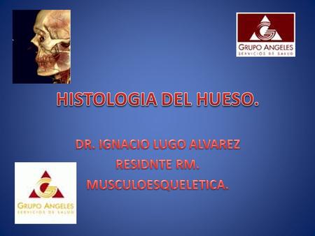 DR. IGNACIO LUGO ALVAREZ RESIDNTE RM. MUSCULOESQUELETICA.