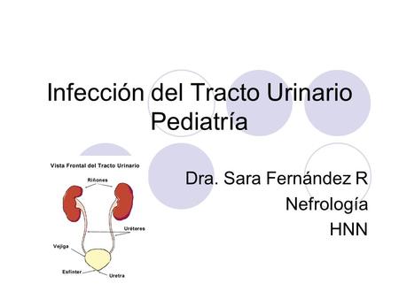 Infección del Tracto Urinario Pediatría