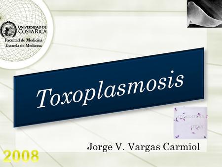 Toxoplasmosis 2008 Jorge V. Vargas Carmiol Facultad de Medicina
