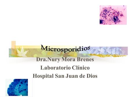 Dra.Nury Mora Brenes Laboratorio Clínico Hospital San Juan de Dios