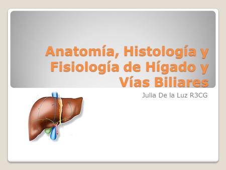 Anatomía, Histología y Fisiología de Hígado y Vías Biliares
