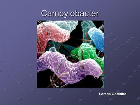 Campylobacter Lorena Godinho.