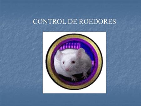 CONTROL DE ROEDORES.