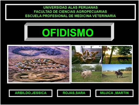 OFIDISMO UNIVERSIDAD ALAS PERUANAS FACULTAD DE CIENCIAS AGROPECUARIAS