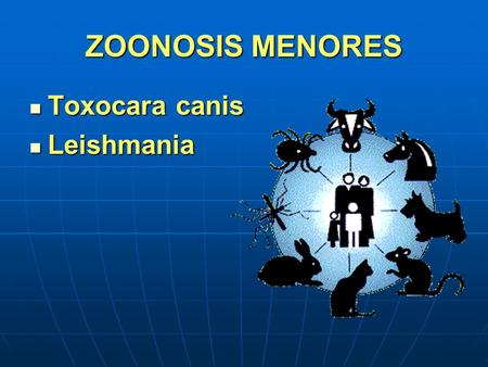 ZOONOSIS MENORES Toxocara canis Leishmania.