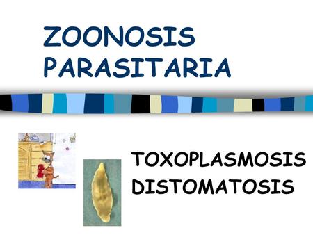 TOXOPLASMOSIS DISTOMATOSIS