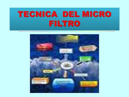 TECNICA DEL MICRO FILTRO