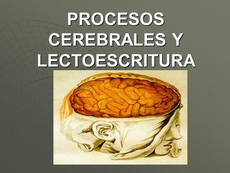 PROCESOS CEREBRALES Y LECTOESCRITURA