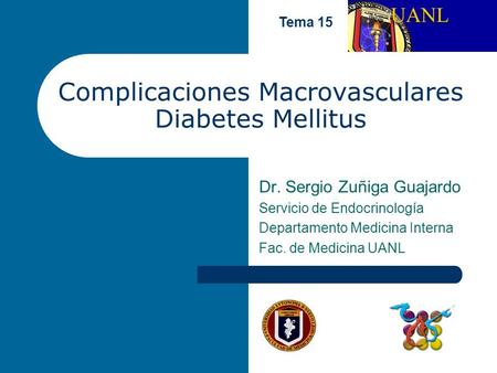 Complicaciones Macrovasculares Diabetes Mellitus