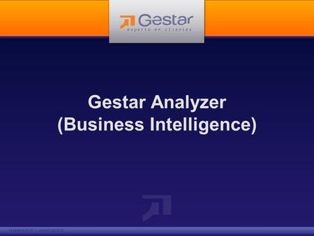 Gestar Analyzer (Business Intelligence)