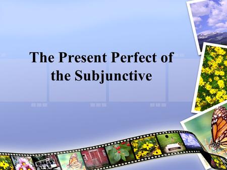 The Present Perfect of the Subjunctive. Present Perfect of the Subjunctive The present perfect subjunctive refers to actions or situations that may have.