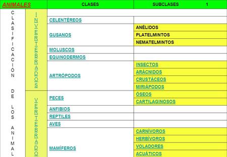 ANIMALES I N V E R T E B R A D O S V E R T E B R A D O S CLASES