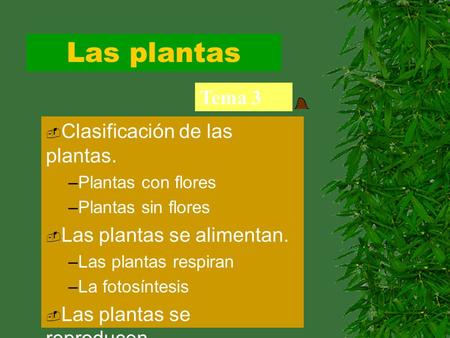 Las plantas Tema 3 Clasificación de las plantas.