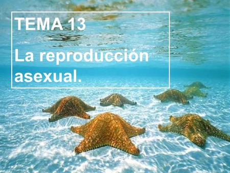 TEMA 13 La reproducción asexual..