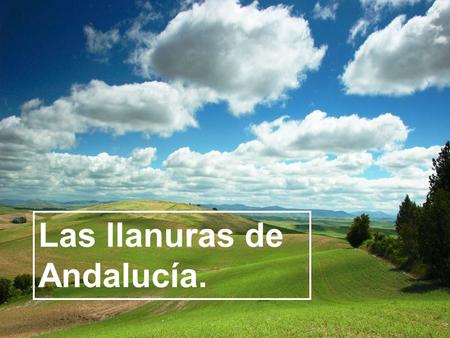Las llanuras de Andalucía.