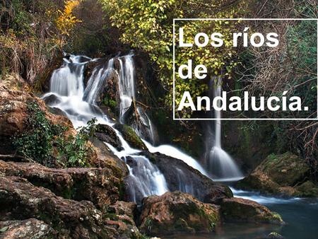 Los ríos de Andalucía..