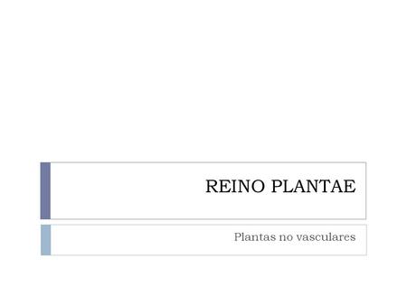 REINO PLANTAE Plantas no vasculares.
