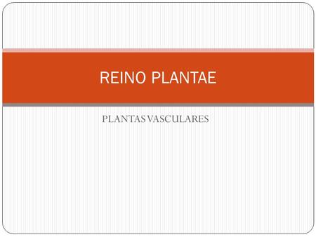 REINO PLANTAE PLANTAS VASCULARES.