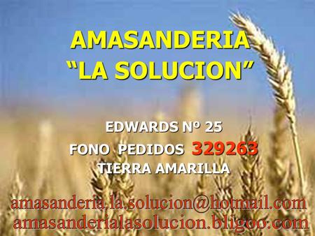 AMASANDERIA LA SOLUCION EDWARDS Nº 25 FONO PEDIDOS 329263 TIERRA AMARILLA.