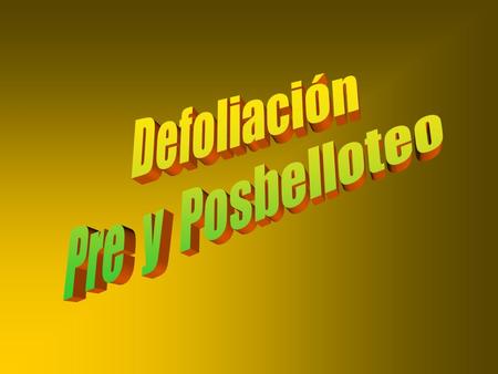 Defoliación Pre y Posbelloteo.