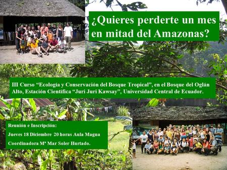 ¿Quieres perderte un mes en mitad del Amazonas?