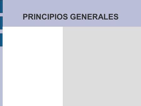 PRINCIPIOS GENERALES.