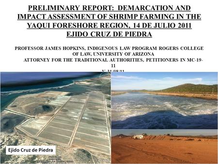 PRELIMINARY REPORT: DEMARCATION AND IMPACT ASSESSMENT OF SHRIMP FARMING IN THE YAQUI FORESHORE REGION, 14 DE JULIO 2011 EJIDO CRUZ DE PIEDRA PROFESSOR.