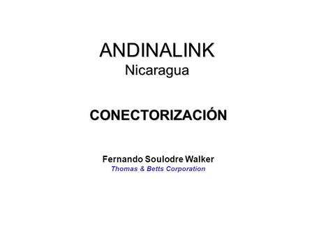 Fernando Soulodre Walker Thomas & Betts Corporation