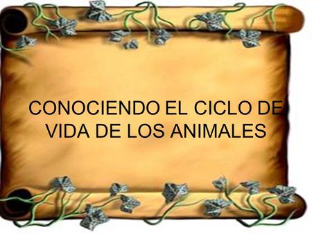 CONOCIENDO EL CICLO DE VIDA DE LOS ANIMALES
