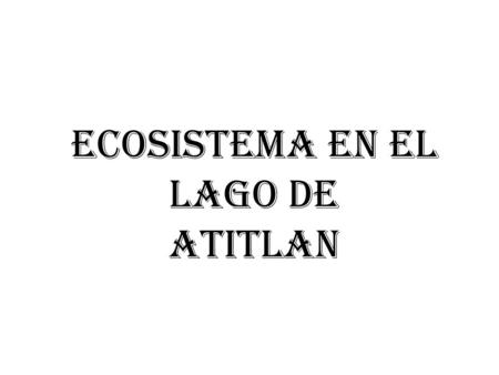 Ecosistema en el Lago de Atitlan