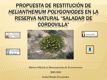 Máster Oficial en Restauración de Ecosistemas Isabel Prado Fernández