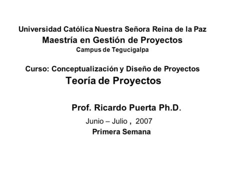 Prof. Ricardo Puerta Ph.D. Junio – Julio , 2007