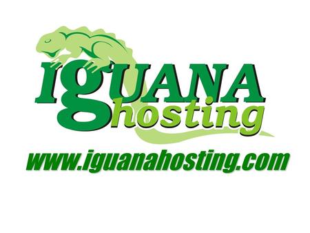 www.iguanahosting.com Como Emprender un Negocio de Web Hosting gg.