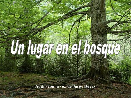 Un lugar en el bosque Audio con la voz de Jorge Bucay.