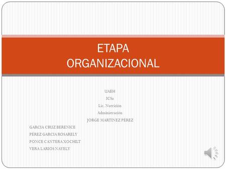 ETAPA ORGANIZACIONAL UAEH ICSa Lic. Nutrición Administración