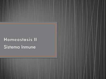 Homeostasis II Sistema Inmune.