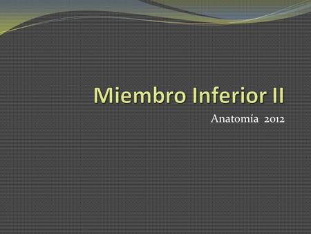 Miembro Inferior II Anatomía 2012.