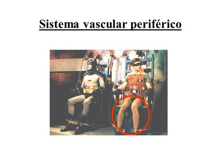 Sistema vascular periférico