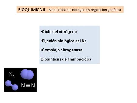 BIOQUIMICA II: Bioquímica del nitrógeno y regulación genética