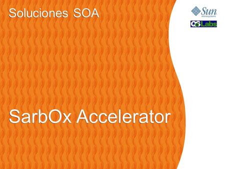 Soluciones SOA SarbOx Accelerator.