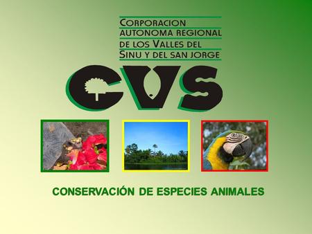 CONSERVACIÓN DE ESPECIES ANIMALES