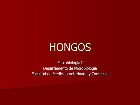 HONGOS Microbiologia I Departamento de Microbiología