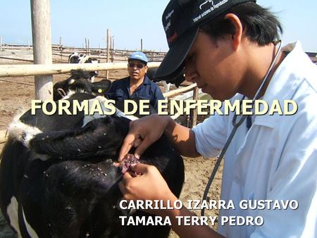 FORMAS DE ENFERMEDAD CARRILLO IZARRA GUSTAVO TAMARA TERRY PEDRO.