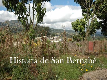 Historia de San Bernabé