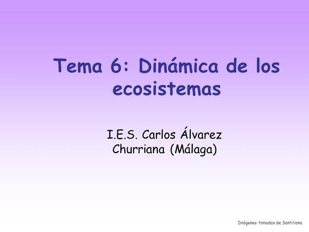 Tema 6: Dinámica de los ecosistemas